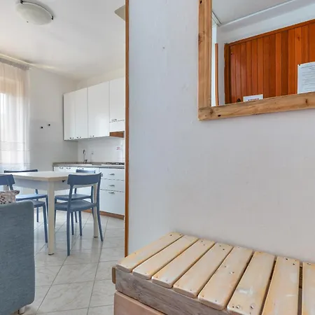 Cassiopea Daire