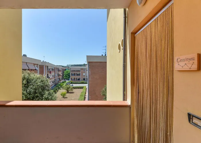 Cassiopea 포르투 아주로